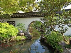 -上海醉白池公园