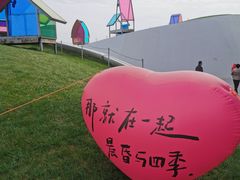 -荷兰花海