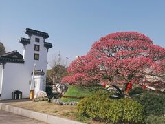 -无锡蠡湖国家湿地公园-蠡园