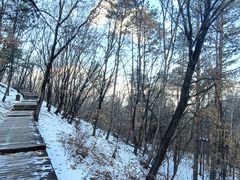 -帽儿山国家森林公园