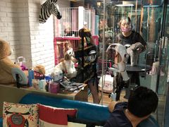 -Goku PET SHOP宠物视觉生活馆(双井店)