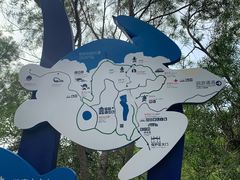 -广东惠东海龟国家级自然保护区