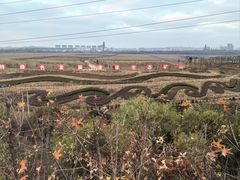 -抚顺煤矿博物馆