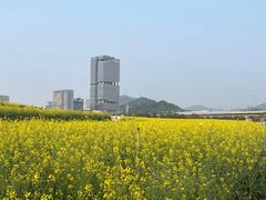 -光明小镇欢乐田园