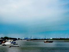 -大湾区中央湿地公园