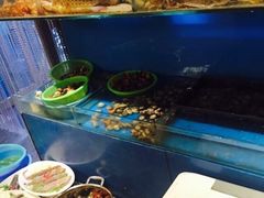 -以前的小酒馆(中山广场店)