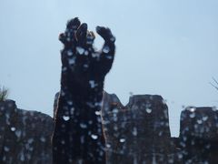 -上海野生动物园