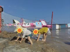 -碧海金沙