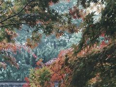 -采石矶景区