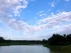 -崇明东平国家森林公园烧烤房车露营地