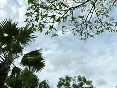 -宝安西湾红树林湿地公园