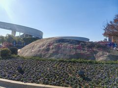 -梦之蓝青奥体育公园体育馆