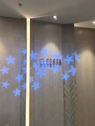 -VELEE·SPA高定疗愈会所