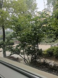 -馨果汇月子产康中心(南湖公园店)