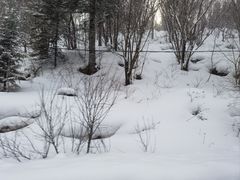 -亚布力新体委滑雪场