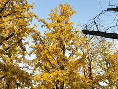 -百林公园-两江幸福广场