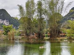 -靖西鹅泉风景区