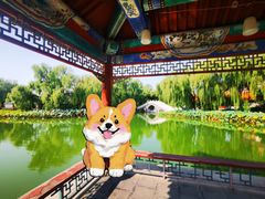 -大明幻境第一城