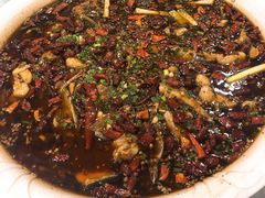 -西木兔(大圆祥店)
