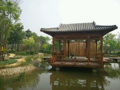 -武清南湖绿博园