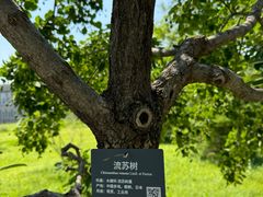 -国家植物园南园