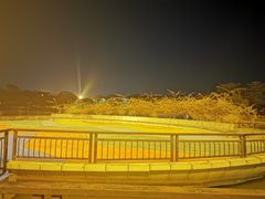 -东莞植物园