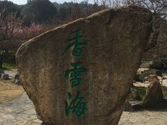 -香雪海