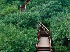 -大岭沟猕猴桃谷风景区