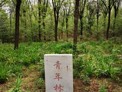 -云岗森林公园