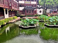 -豫园湖心亭茶楼