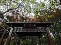 -紫薇公园