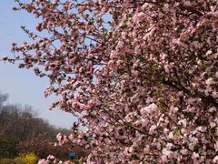 -元大都城垣遗址公园