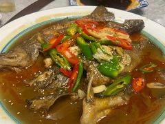 -呼吸森林·生态农庄农家乐私房菜