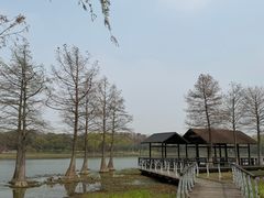 -长广溪湿地公园