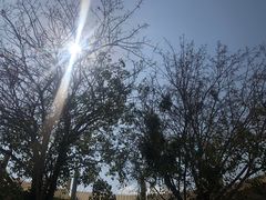 -三亚南山文化旅游区