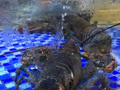 -新兴家喻酒家·羊城名宴(昌岗店)