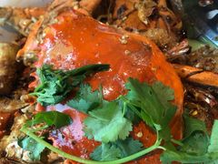 -石头咕(葵蓬店)