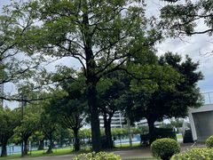 -顺德职业技术大学