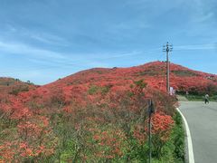 -大围山国家森林公园