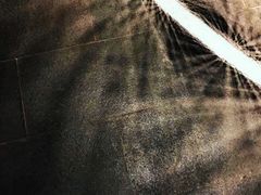 -张之洞与武汉博物馆
