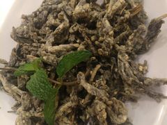 -解家河南菜(商鼎路店)