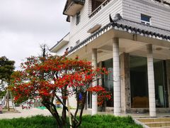 -梧桐山风景名胜区