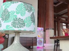 -逸廊大堂吧(三亚海棠湾万丽度假酒店)