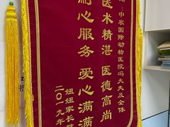 -中农国际动物医院24小时·猫科·骨科·急重症中心