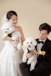 点击看大图 -CD视觉婚纱摄影