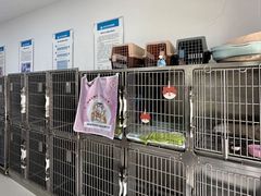 -派美特宠物医院·核磁CT·骨科肿瘤·疑难转诊(沈农禾丰店)