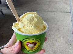 -Dooley's Premium Ice Cream