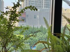 -柿合缘新京菜(国金中心商场店)