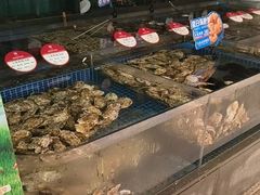-将相和·海鲜蒸饺大连菜