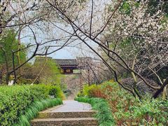 -杭州半山国家森林公园